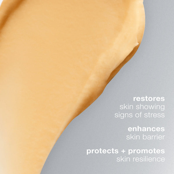 Dermalogica Multivitamin Power Recovery Masque