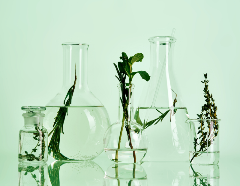 plant based skincare products
