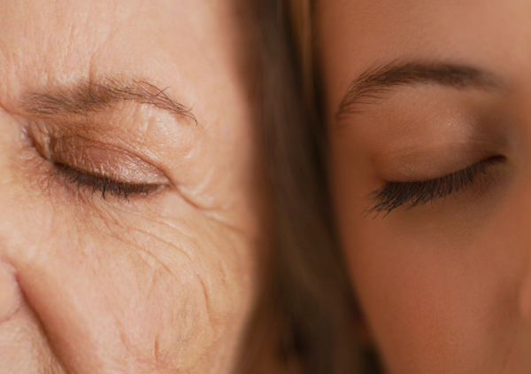 Amino Acid & Longevity