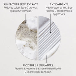 Percy & Reed Wonder Shampoo & Conditioner Duo