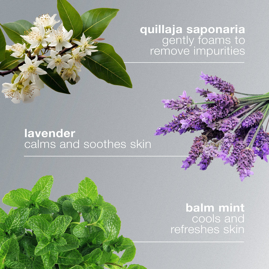 Herbal elements with text on a gray background