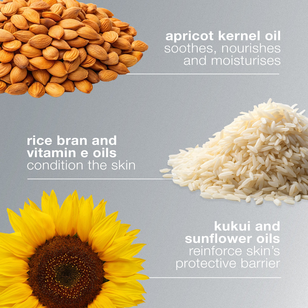 Illustration of almonds, rice, sunflower, and text about oils on a gray background