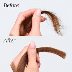 Monpure Ceramide Complex Bond Repair Conditioner