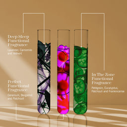 Three tall clear glass test tubes filled with colorful liquid and botanical elements, shown on a warm tan background with callout lines and text naming fragrance scents: Deep Sleep Functional Fragrance, Perfect Functional Fragrance, and In The Zone Functional Fragrance.