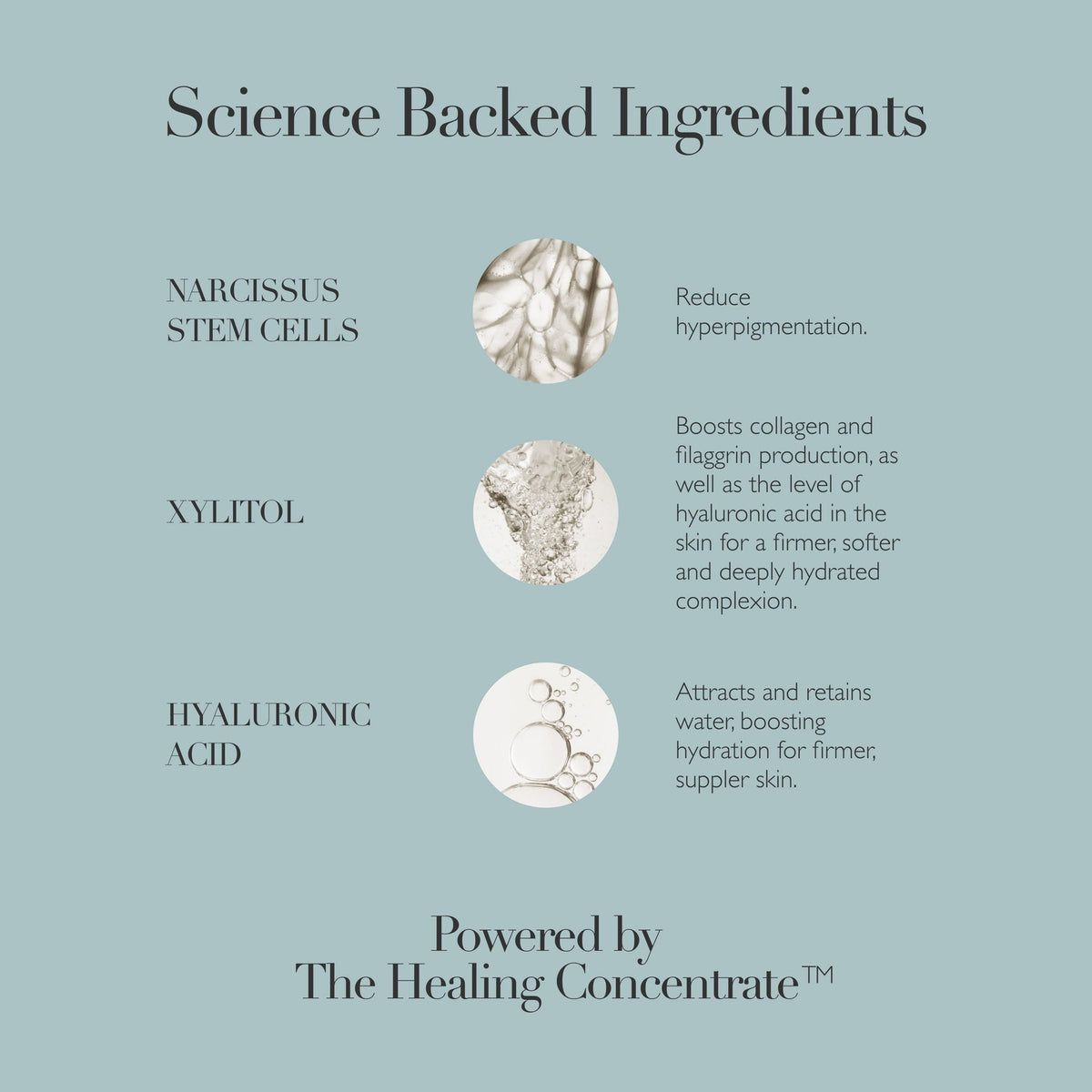 Science-backed ingredients with images and descriptions on a light blue background
