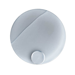 White round object with a central indentation on a white background