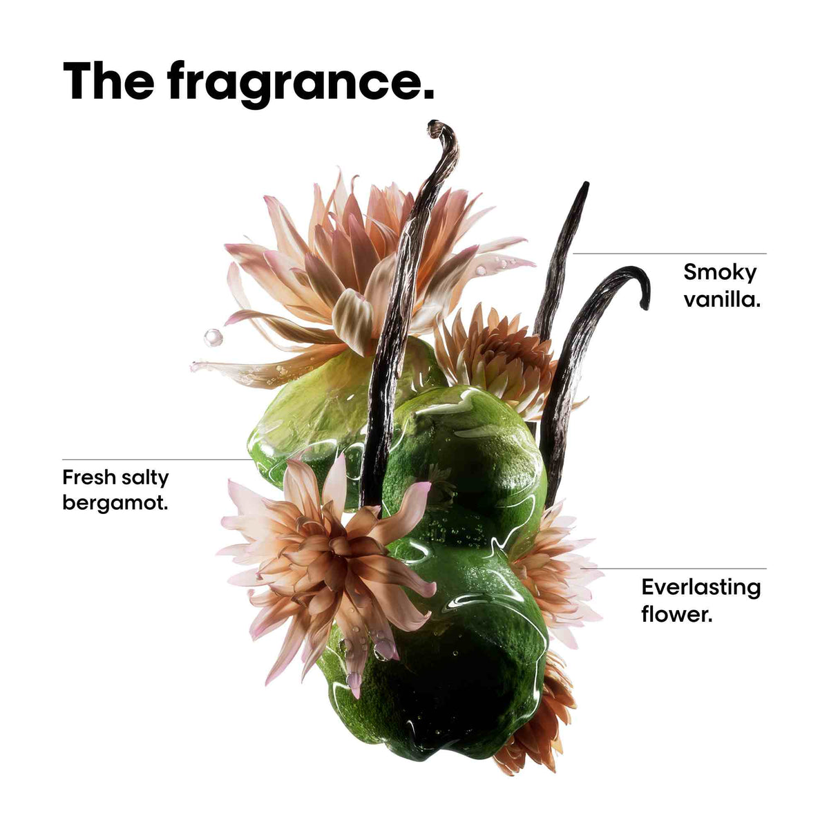 Diagram of a perfume bottle with floral elements and labeled fragrance notes on a white background.
