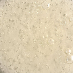 Dermalogica Phyto Nature E2