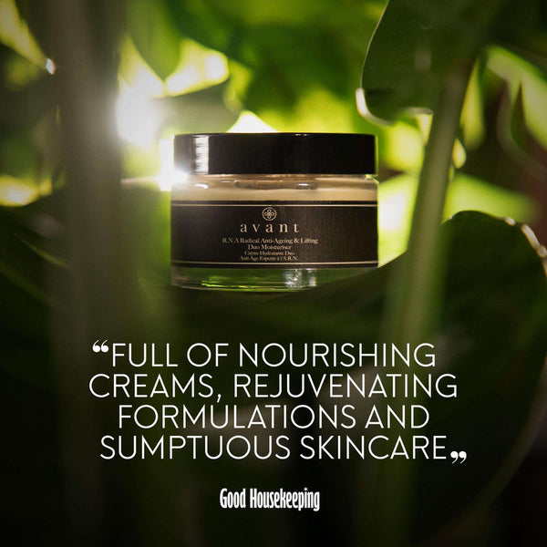 Avant Wonders Advent Calendar 2025