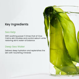 Biodance Refreshing Sea Kelp Real Deep Mask