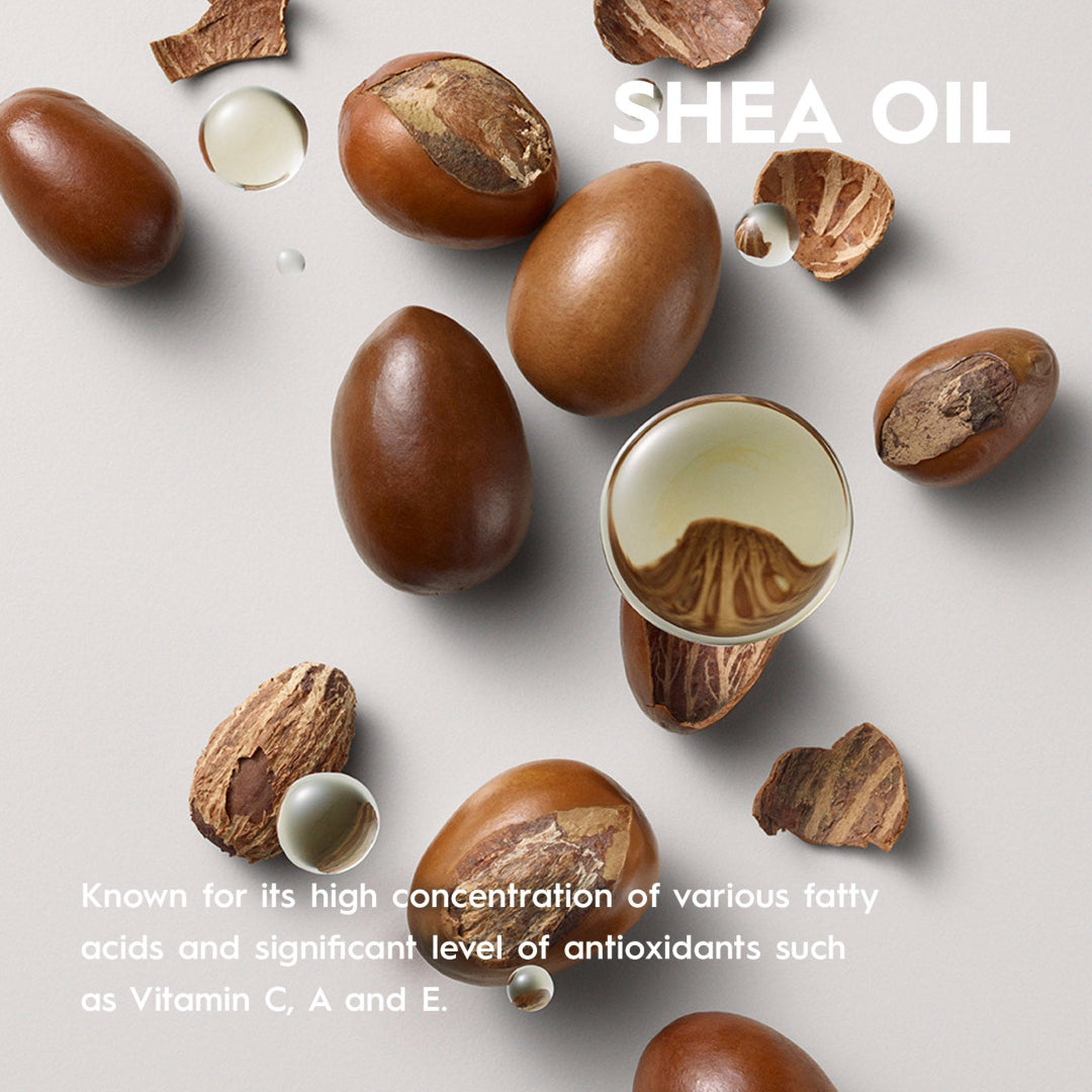 Shea nuts and oil on a light background with text about shea oil's properties.