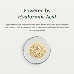 Text on a light gray background reading 'Powered by Hyaluronic Acid' with a small dish of beige powder or granules below.