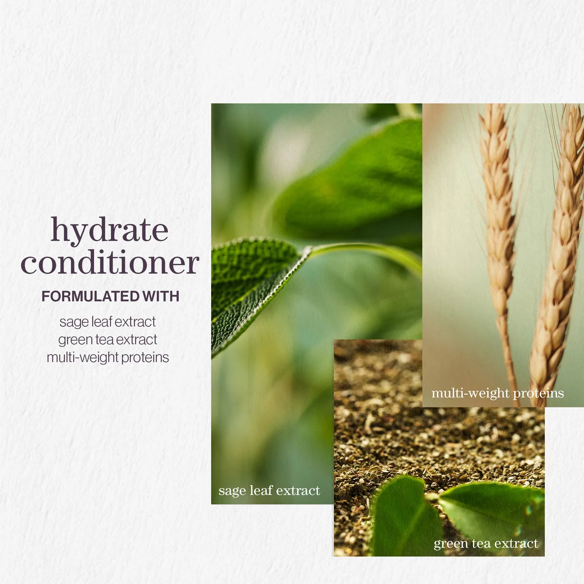 Pureology Hydrate Nourishing Conditioner 266ml