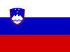 icon-flag-fr